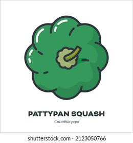 Escuadrón verde de patetismo o icono vegetal de Patisson, contorno con ilustración vectorial de estilo de relleno de color