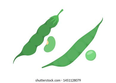 Green pea and bean. Healthy and fresh organic vegetable. Vegetarian food, raw nutrition. Isolated vector illustration in cartoon style