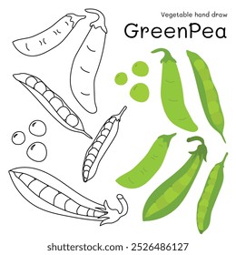 Green Pea doodle Gemüse handgezeichnete Umrisse und Farben für Kind, Paket, Etiketten Design-Element. Vektorgrafik