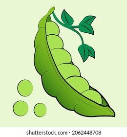 Caca verde. El final de la vaina de guisantes verdes. Imagen vectorial. Aislar sobre un fondo blanco. Ilustración del vector EPS10