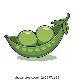 Green Pea Fruit Vegetable Vector Illustration