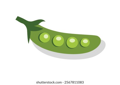 Green pea illustration.  Peas illustration. Vegetable illustration. Green beans. Snap peas. Stink bean.