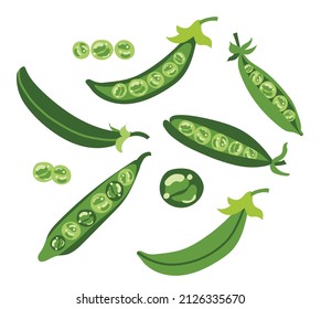Green pea  Isolate on a white background