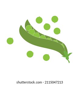 green pea isolated vector, natural food ingredient