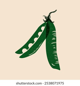 Green pea pod. Abstract risograph fresh green peas in pod with seeds, organic vegetarian food, healthy diet nutrition ingredient flat style. Vector isolated illustration.