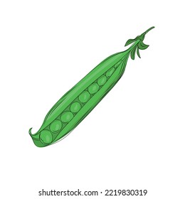 green pea pod in cartoon style, green pea isolated on white background
