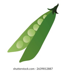 Green pea pod. Fresh peas in pod with seeds, organic natural vegetarian food gradient flat style, healthy diet nutrition ingredient. Vector isolated illustration.