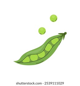 Green pea pod with peas on a white background showcasing fresh produce and healthy eating