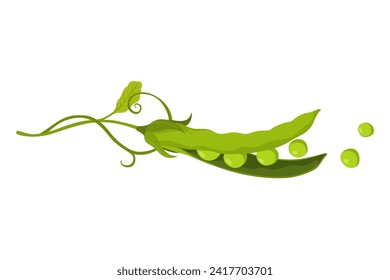 Green pea pod. Vegetable icon. Element for packaging and menu design. Natural green healthy eco product. Vector illustration