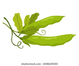 Un pois vert. Icône légumes. Élément pour l'emballage et la conception du menu. Un éco-produit vert naturel et sain. illustration vectorielle 