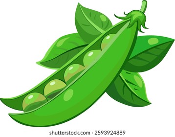 green pea pod without background vector