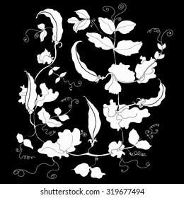Green pea pods with leaves. Black and white logo. Isolated on black background. Vector