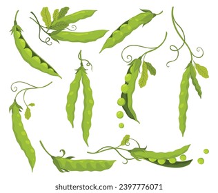 Green pea pods. Vegetable icon set. Element for packaging and menu design. Natural green healthy eco products. Vector illustration