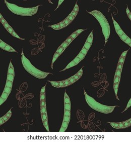 Green pea seamless pattern. Hand drawn background. Vector illustration. Hand drawing sketch illustration. Green pea vegetable hand drawn backdrop.