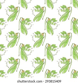 Green pea. Seamless pattern with vegetables. Hand-drawn background. Vector illustration. Real watercolor drawing.