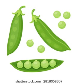 Green pea set. Two closed pods one open half pea pod and five isolated single peas. Hand drawn flat style isolated. For stickers, menus, posters, food packaging, recipe blogs, organic grocery branding