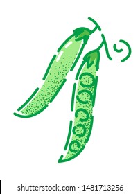 Green pea. Vector illustration of a tasty green vegetable in flat and line-art style for print, banner or postcard.