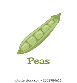 Pois vert Image Vectorielle. Isolé sur fond blanc. Élément pour les cartes, conception de l'emballage.