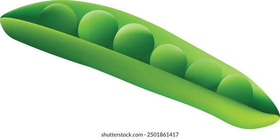 Green Pea Vegetable Vector Illustration