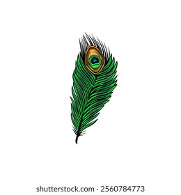 a green peacock feather vector illustration, bulu merak vektor