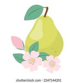 Green pear. Composition of pink flowers and pear.