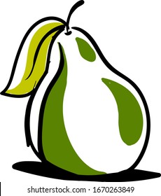 Green pear drawing, illustration, vector on white background.