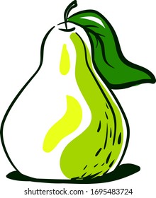 Dibujo de pera verde, ilustración, vector sobre fondo blanco