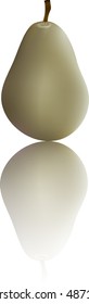 green pear, fruit for eating, vector
