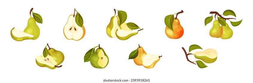 Green Pear Fruit with Stem and Leaf Vector Set