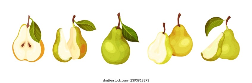 Green Pear Fruit with Stem and Leaf Vector Set