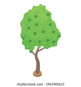 Icono de árbol de peras verdes. Isométrico del icono vectorial del árbol de peras verdes para el diseño web aislado en fondo blanco