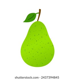 Green pear icon isolated on white background. Vector illustration.