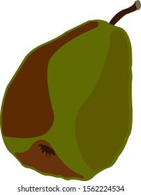 Green pear, illustration, vector on white background.