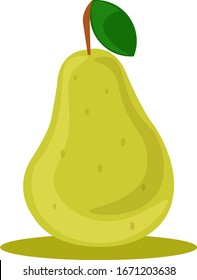 Green pear, illustration, vector on white background.