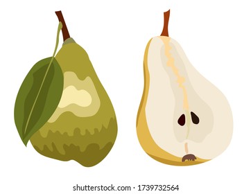 Green pear isolated on white background. Cross section of cut pear and whole fruit. isolated vector illustration. Good print for menu, recipe, card, fabric or wallpaper.
