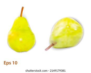 Green pear isolated on white background. Vector illustration