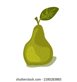 Green pear isolated on white background. Vector illustration. Clipart single pear