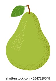 Green pear with a leaf. Isolated on a white background. Vector illustration.