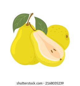 Green pear set. Sliced pears collection. Vector illustration in cartoon flat style.