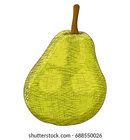Green pear. Sketch. Vector illustration isolated on white background