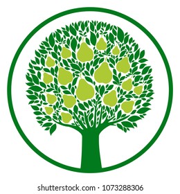 Green Pear tree isolated on White background. Plenty of pears growing on a pear tree. Garden fruit. Flat style. Vector illustration