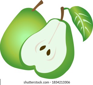 Green pear. Vector illustration isolated on white background.