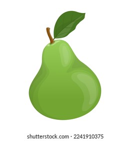 Green pear. Vector illustration of sweet ripe. Cartoon whole juice garden fruit with leaf isolated white. Nature, vegetarian food dessert concept