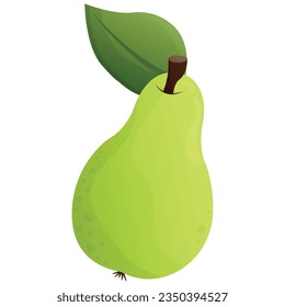 green pear vector illustration without background
