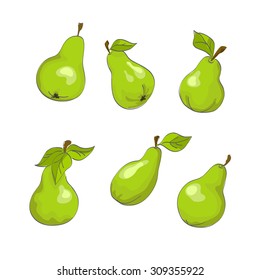green pears with leaves vector isolated on white