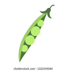 green peas branch flat simple illustration. Kitchen cooking - vegetables and fruits series.