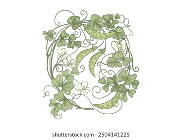 Green peas. Branch with leaves and pods with peas. Clip art, set of elements for design Vector illustration. Outline hand drawing. In art nouveau style, vintage, old, retro style.