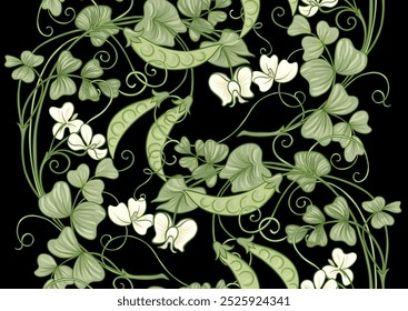 Ervilhas verdes. Ramo com folhas e vagem com ervilhas. Padrão de borda uniforme, ornamento linear, ilustração de vetor de fita. Contornar desenho à mão. No estilo art nouveau, vintage, velho, estilo retro.