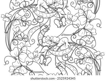 Green peas. Branch with leaves and pods with peas.. Seamless border pattern, linear ornament, ribbon Vector illustration. Outline hand drawing. In art nouveau style, vintage, old, retro style.