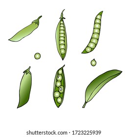 Green Peas Illustration In Vector. Open And Whole Closed Pea Pod And Single Peas Set On White Background. Fresh Ripe Legumes In Cartoon Style. 